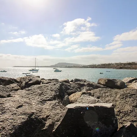 Cyca Playa Blanca (Lanzarote)